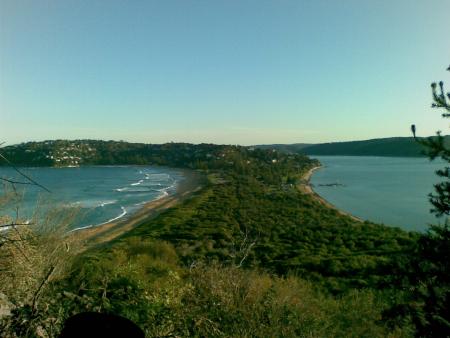Dans Le Bush Australien...